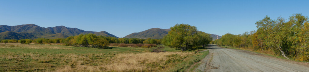 Obraz premium Panorama view of the road and Kamchatka autumn hills against the blue sky. Cows graze on green grass in a field against the background of autumn hills near the forest. Kamchatka Peninsula, Russia.
