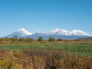 Fototapeta premium View of the domestic Kamchatka volcanoes against the background of the blue sky and autumn forest. In good weather, the snow caps of all domestic volcanoes are visible. Kamchatka Peninsula, Russia.