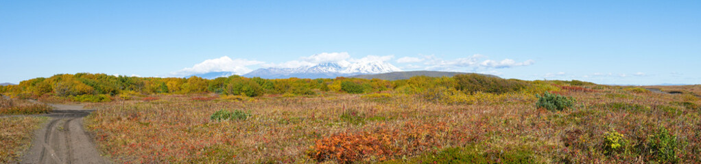 Panorama view of the road and home volcanoes of Kamchatka against the background of blue sky and autumn forest. Clouds covered the snow caps of all domestic volcanoes. Kamchatka Peninsula, Russia.