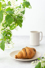 Chocolate croissant close-up on a plate and a mug of coffee, delicious breakfast, branches of blooming bird cherry in a vase
