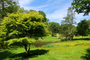 Obraz premium A beautiful landscape scene in the heart of the Kent Countryside