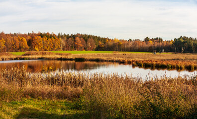 Panorama See im Wettenberger Ried bei Biberach in Oberschwaben