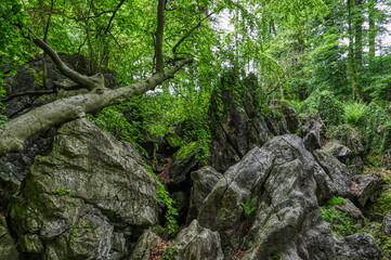 Felsen im Felsenmeer in Hemer im Sauerland