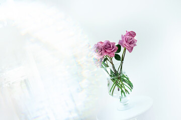 a bouquet of pink roses in a transparent vase on a white background with a brilliant illumination on the left of the frame on a white background