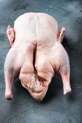 Raw whole farm duck on grey background, top view