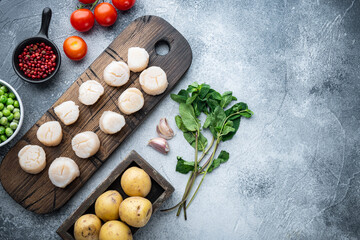 Raw fresh scallops with ingredients, flat lay, on grey background  with space for text