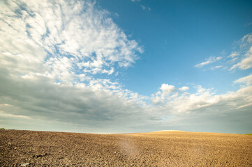 agricultural scenery with a newly planted potato crop in chalky soil near Sledmere under a blue sky 