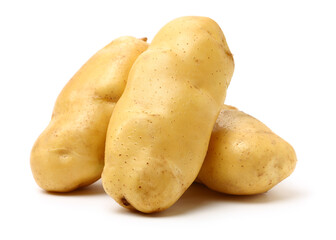 potato on a white background