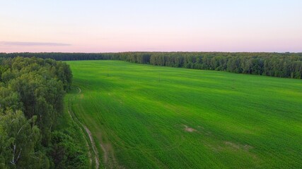 sunrise over the Russian field