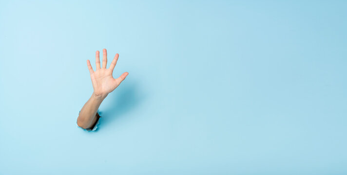 female hand gesturing showing hallo on blue background.