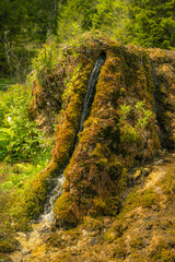 The waterfall flows from a travertine mound, which is overgrown with moss and flowers