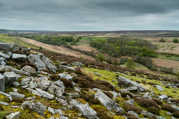 The North York Moors with fields, trees, and large boulders in spring. Goathland, UK.