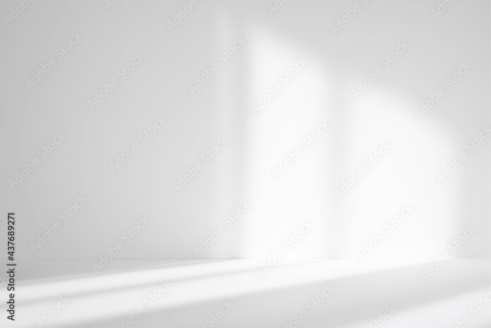 Poster Abstract white studio background for product presentation. Empty room with shadows of window. Display product with blurred backdrop.