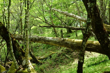 Let’s take it easy.