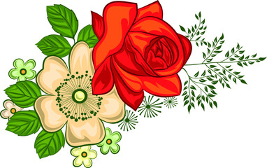 Red Rose and Daisies
