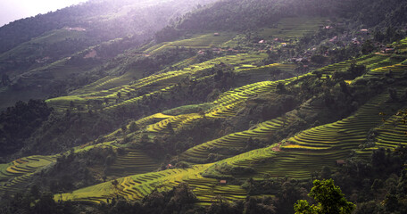 Terraced fields in Ha Giang