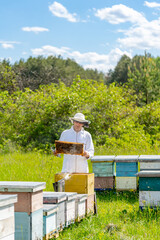 Yellow beehive with bees swarming around. Beekeeper in protection suit working with honeycomb.
