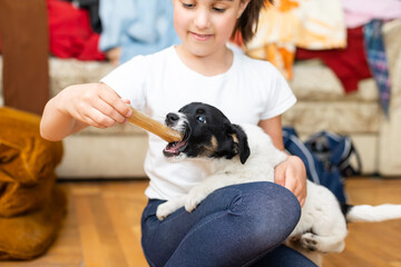 Portrait of happy little girl at home with puppy