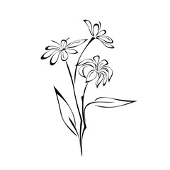 Obraz premium ornament 1803. twig with blossoming flowers and leaves in black lines on a white background