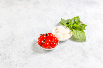 Obraz na płótnie Canvas Delicious Italian caprese salad with sliced red and orange cherry tomatoes and mozzarela balls.
