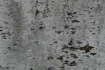 Gray wall texture