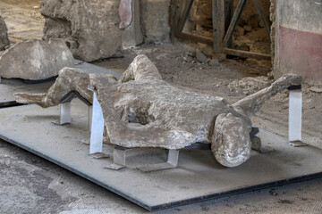 Archaeological Park of Pompeii. Plaster casts of the bodies of men from Pompeii, buried in ash during the eruption of the volcano Vesuvius. Campania, Italy