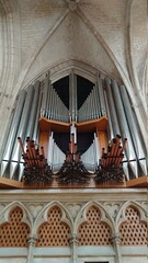 CATHEDRALE SAINT ETIENNE D'AUXERRE (Yonne)
