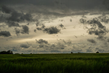 Wolken