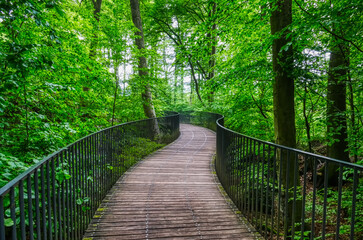 Obraz premium Geschwungener Holzsteg im Felsenmeer in Hemer 