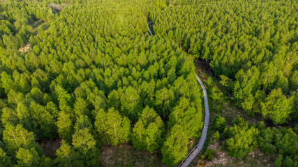 Aerial view of the hiking trail on boardwalks through the Todtenbruch Moor