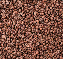roasted coffee beans background. arabica coffee. wallpaper or blogger content.