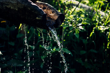 River in the forest.