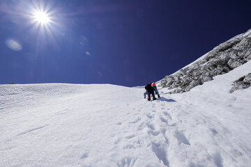 Naklejka na ściany i meble mountaineers with ice axes climb a sheer ice wall on a snowy alpine slope