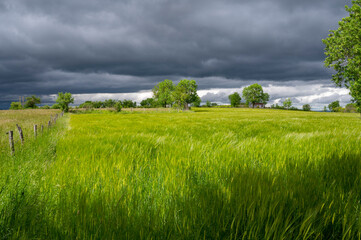 Fototapeta na wymiar Paysage d'Auvergne en Haute-Loire en France au printemps avec un ciel menaçant