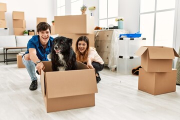 Fototapeta premium Young caucasian couple smiling happy transporting dog into cardboard box as a car at new home.