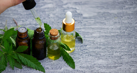 Cannabis herb and leaves for treatment broth, tincture, extract, oil.