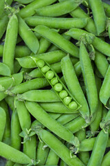 Fresh pea pods as background, texture. Top view.
