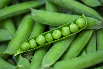 Fresh pea pods as background, texture. Top view.