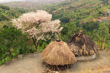 Two huts with straw roofs in Sipi, Uganda