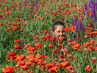 A beautiful flower poppy field in which a happy girl sits and enjoys the sight and aroma. The beauty of nature