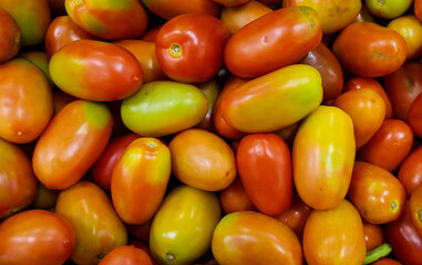 Naklejka na ściany i meble Fresh Little tomatoes in the market