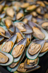 mussels on the plate
