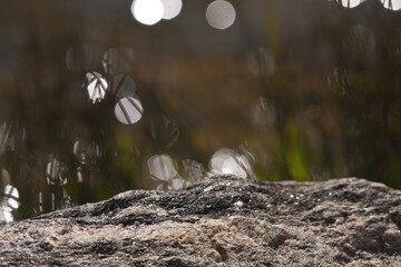 Drops of water sparkle on rock
