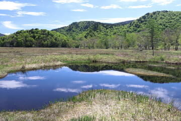 Fototapeta premium 尾瀬/6月。 まだ水芭蕉が咲き残る初夏の尾瀬ヶ原。山、空が写る池。