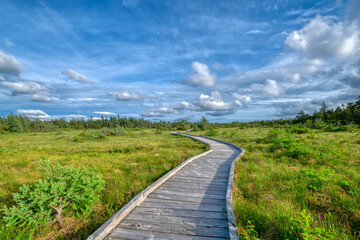 Boardwalk at the Bog, CBHNP.