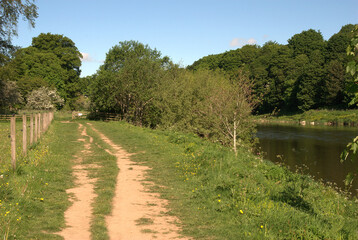 Fototapeta na wymiar walking path westwards by river Tweed near Darnick in summer