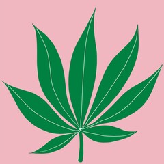 Fototapeta na wymiar Cannabis leaf freehand drawing on pink background.
