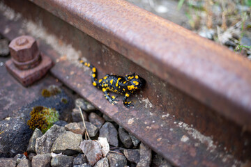 close up of a rusty pipe