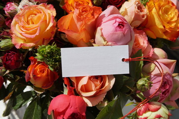 Rosen mit Etikett -Label