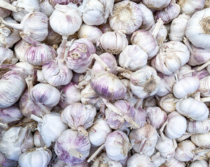 garlic on market background texture.